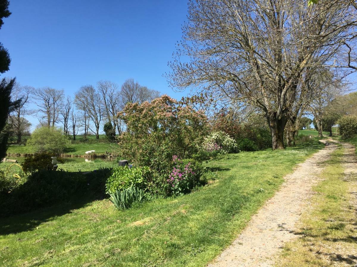 L'Enquenouille Basse ξενώνας Verdun-en-Lauragais Εξωτερικό φωτογραφία