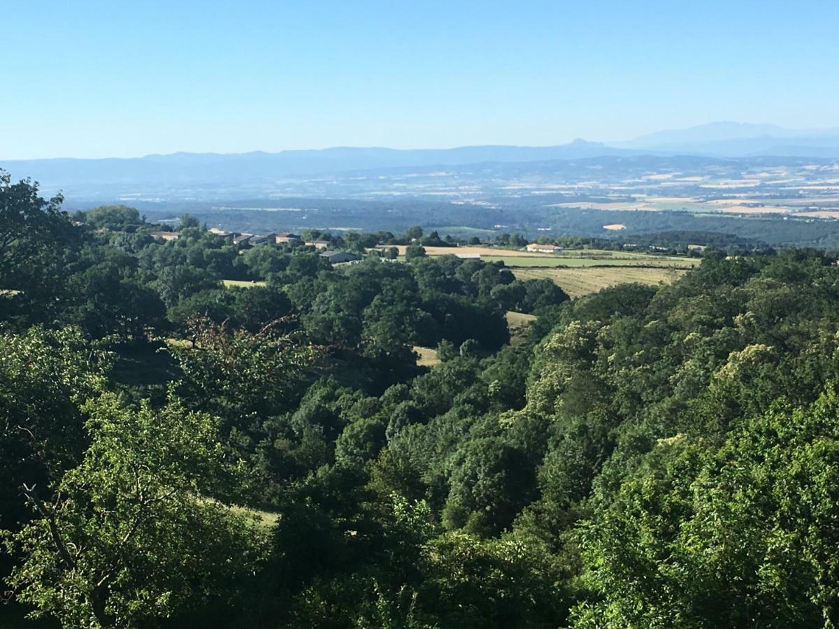 L'Enquenouille Basse ξενώνας Verdun-en-Lauragais Εξωτερικό φωτογραφία