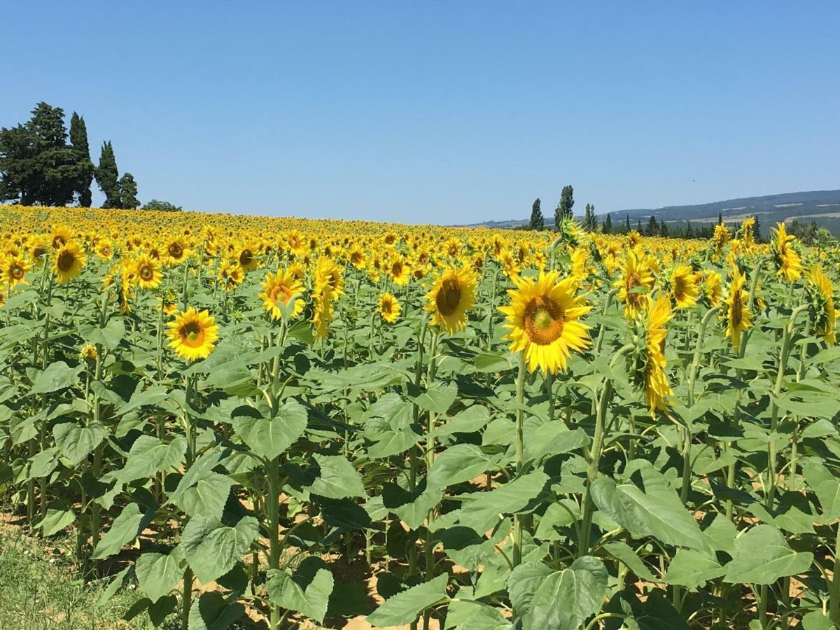 L'Enquenouille Basse ξενώνας Verdun-en-Lauragais Εξωτερικό φωτογραφία
